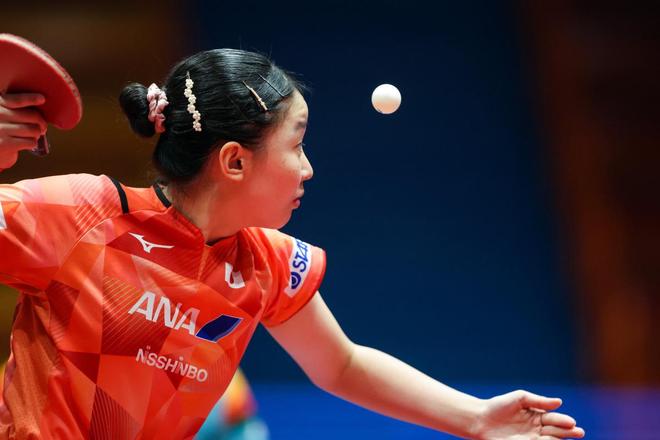 体育基础设 体育基础设