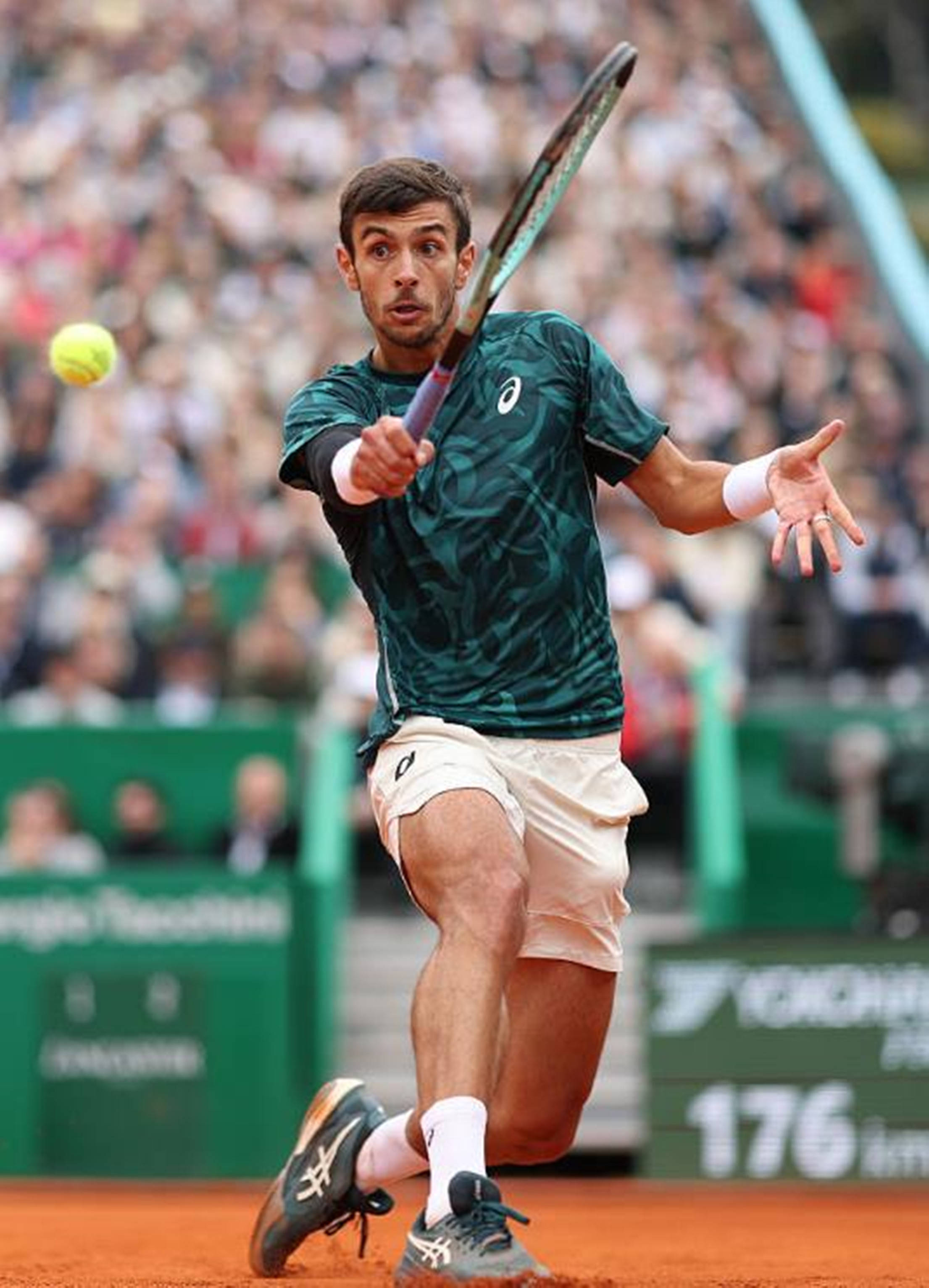 还有刘泽希 还有刘泽希