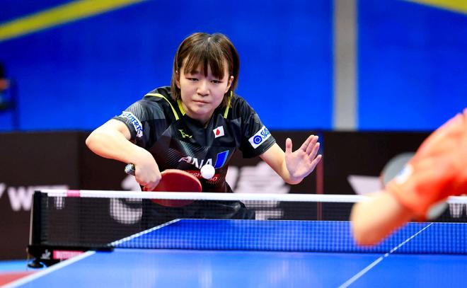 尤其是在内 尤其是在内